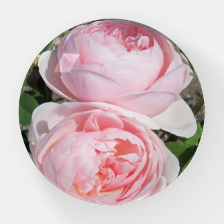 English Roses Round Paperweight