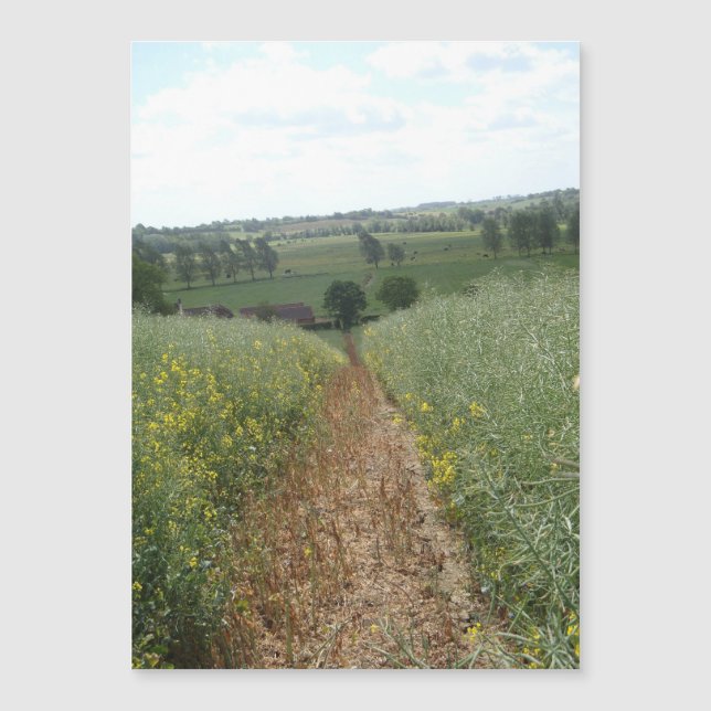 English rural countryside scene photo art card (Front)