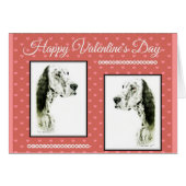 English Setter (Front Horizontal)