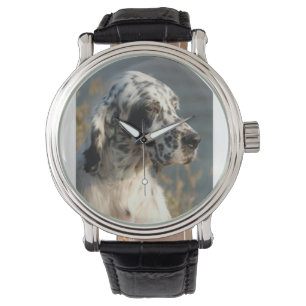 english setter 2 watch