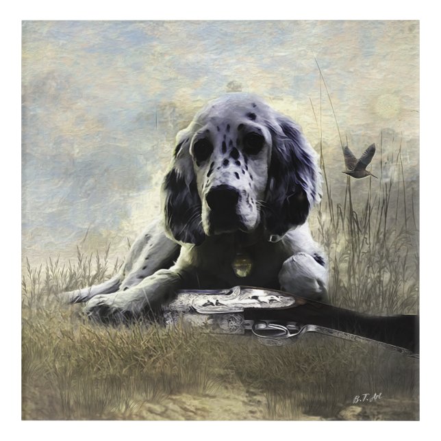 English Setter  Acrylic Print (Front)