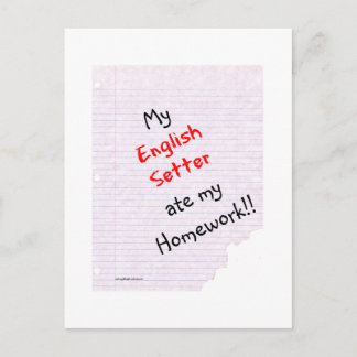 English Setter Ate My Homework Postcard