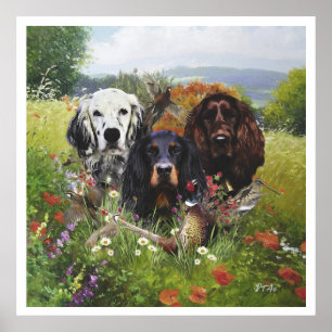 English Setter , bird hunting  Poster