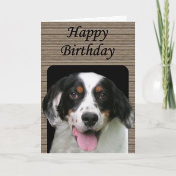 English Setter Birthday Card by Mousefx at Zazzle
