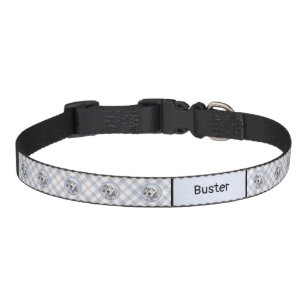 English Setter Blue Belton Painting Dog Art Pet Collar