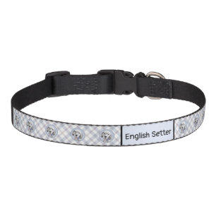 English Setter Blue Belton Painting Dog Art Pet Collar