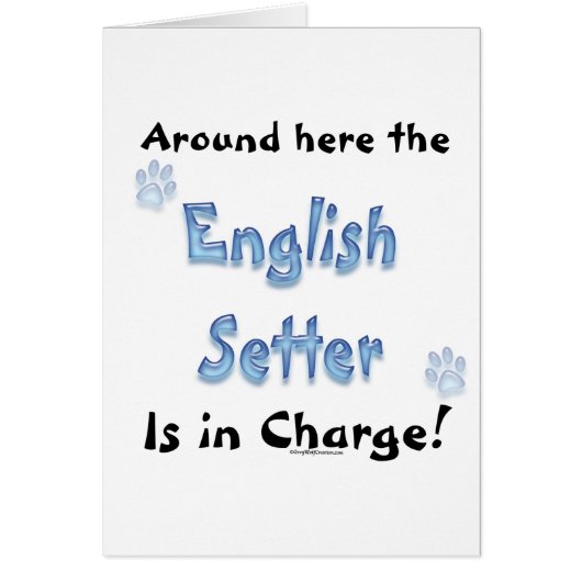 English Setter Charge Cards (Front)