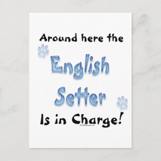English Setter Charge Postcard