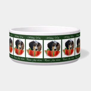 English Setter Christmas Bowl