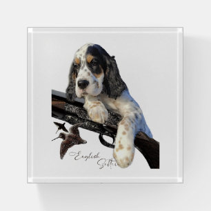 English Setter, cute puppy Paperweight