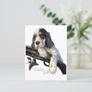 English Setter, cute puppy Postcard