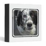 English Setter Dog Binder
