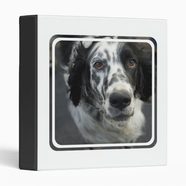 English Setter Dog Binder (Front/Spine)