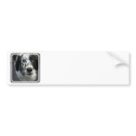 English Setter Dog Bumper Stickers