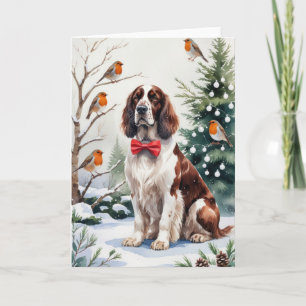 English Setter Dog Christmas Greeting Card