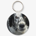 English Setter Dog Keychain