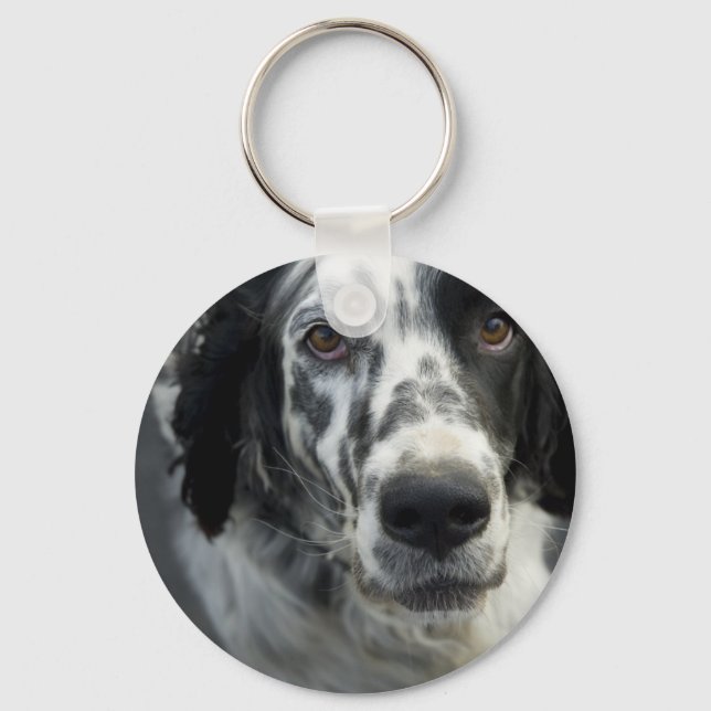 English Setter Dog Keychain (Front)