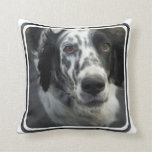 English Setter Dog Pillow