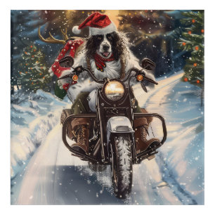 English Setter Dog Riding Motorcycle Christmas Acrylic Print