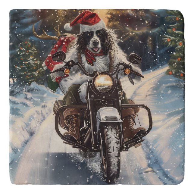 English Setter Dog Riding Motorcycle Christmas Trivet (Front)