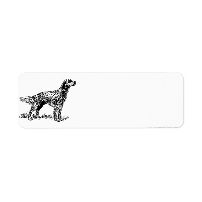 english setter drawing.png label (Front)
