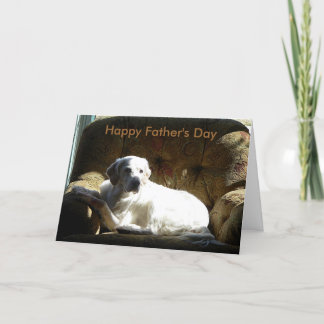English Setter, Happy Father's Day Card