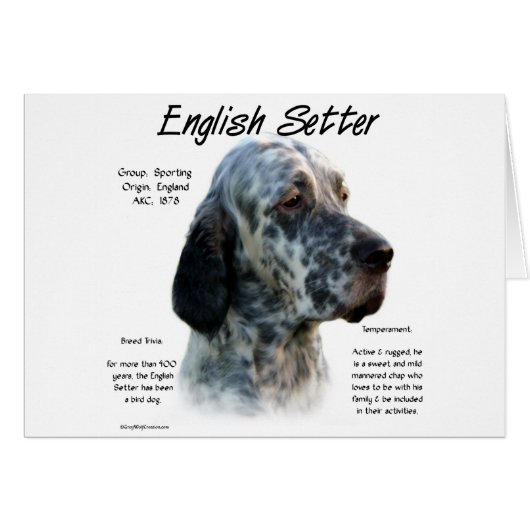 English Setter History Design Cards (Front Horizontal)