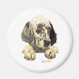 English Setter Magnet