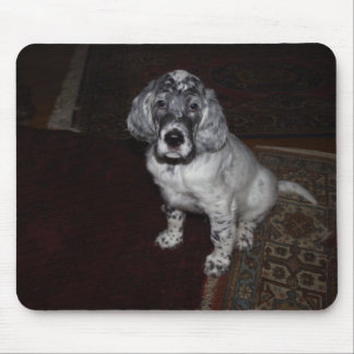 English Setter Mouse Pad