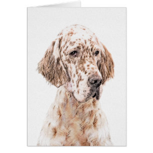 English Setter Orange Belton Painting Dog Art Cards