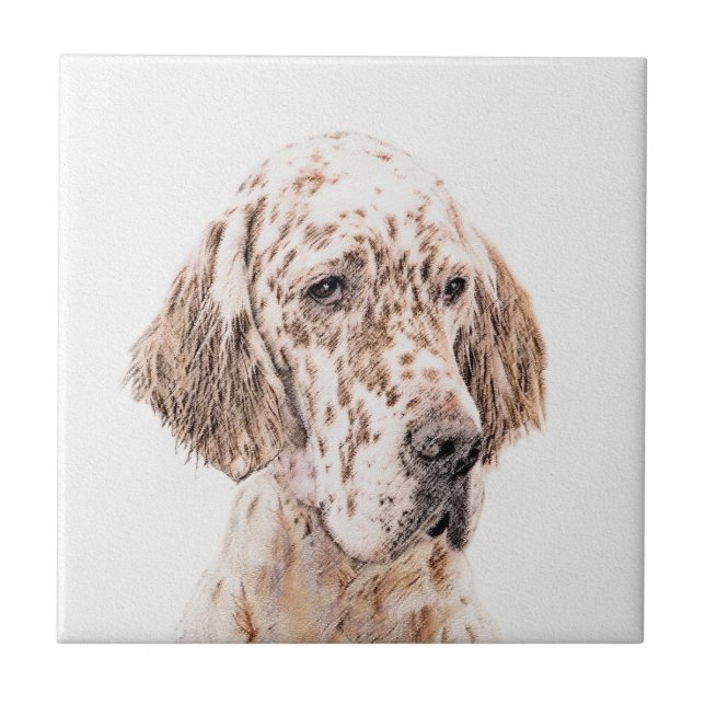 English Setter Orange Belton Painting Dog Art Ceramic Tile (Front)