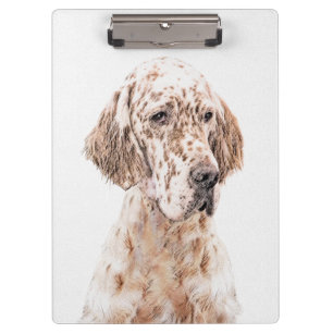 English Setter Orange Belton Painting Dog Art Clipboard