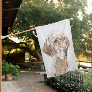 English Setter Orange Belton Painting Dog Art House Flag