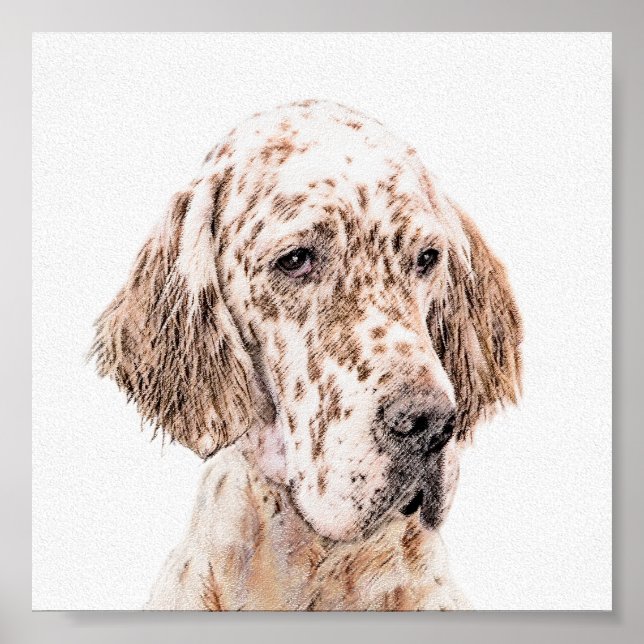 English Setter Orange Belton Painting Dog Art Poster (Front)