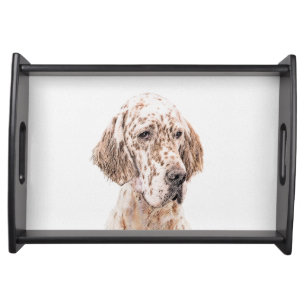 English Setter Orange Belton Painting Dog Art Serving Tray