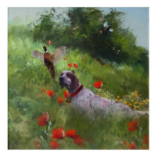 English Setter , Pheasant hunting  Acrylic Print