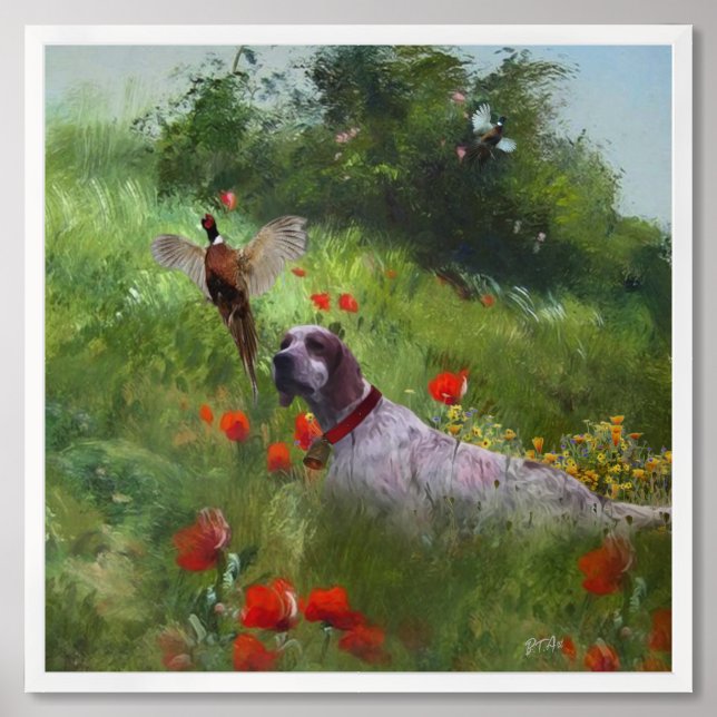 English Setter , Pheasant hunting  Framed Art (Framed Front)