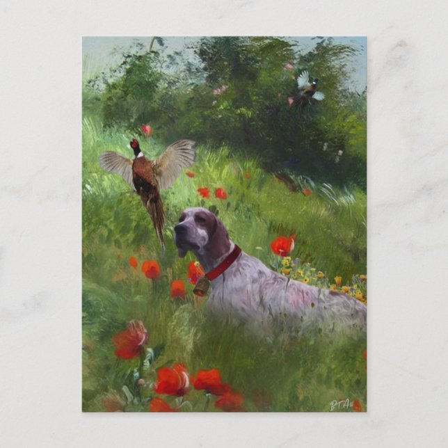 English Setter , Pheasant hunting  Holiday Postcard (Front)