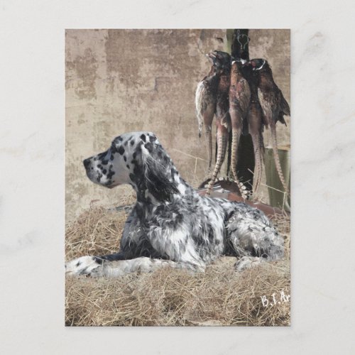 English Setter  Pheasant Hunting  Tapestry Poster Postcard