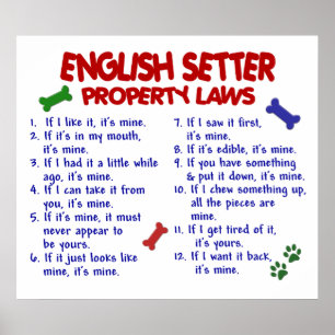 ENGLISH SETTER PL2 POSTER