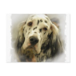 English Setter Postcard