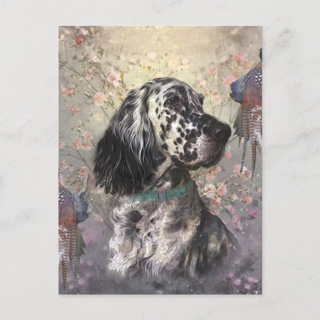 English Setter  Postcard (Front)