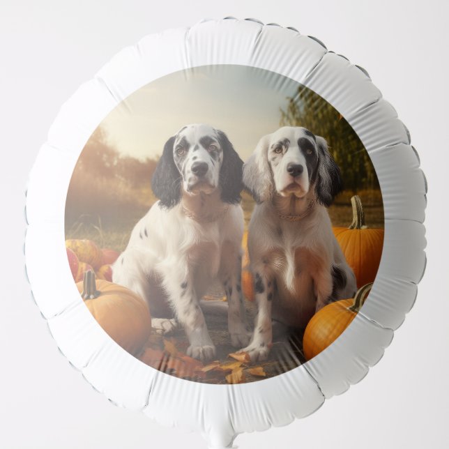 English Setter Puppy Autumn Delight Pumpkin  Balloon (Front)