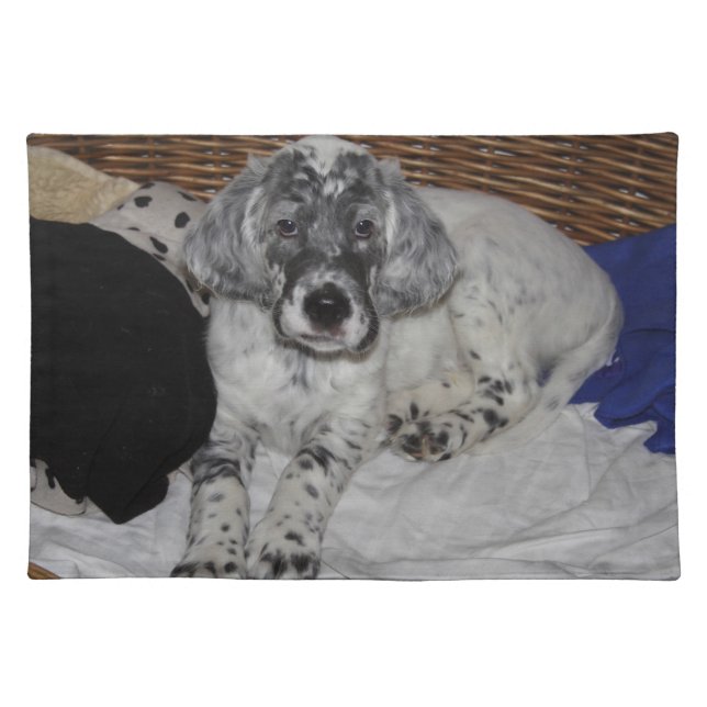 English Setter Puppy Placemat (Front)