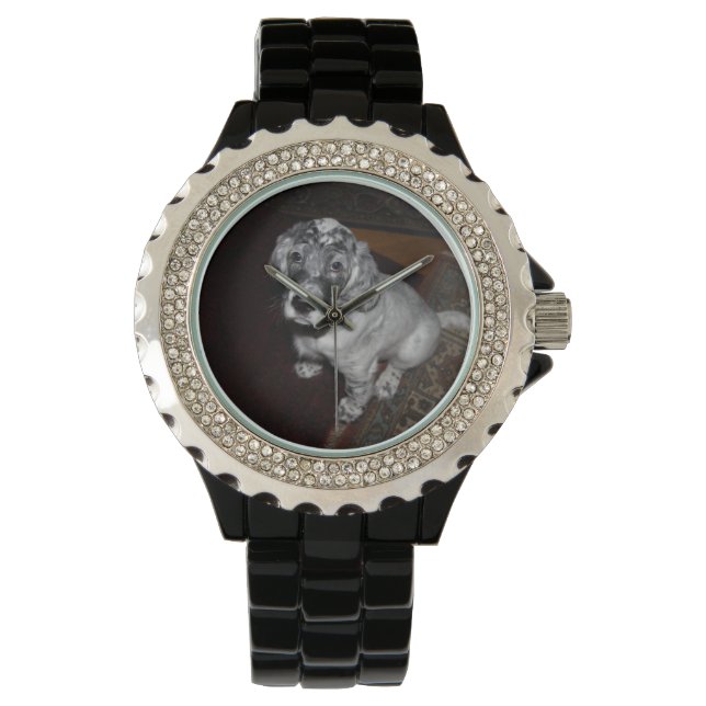 English Setter Puppy Watch (Front)