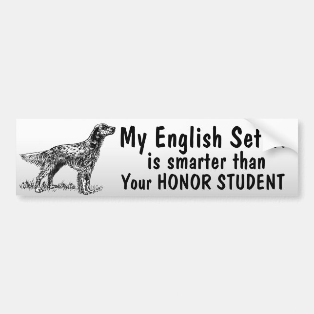 English Setter - Smarter than student - funny Bumper Sticker (Front)