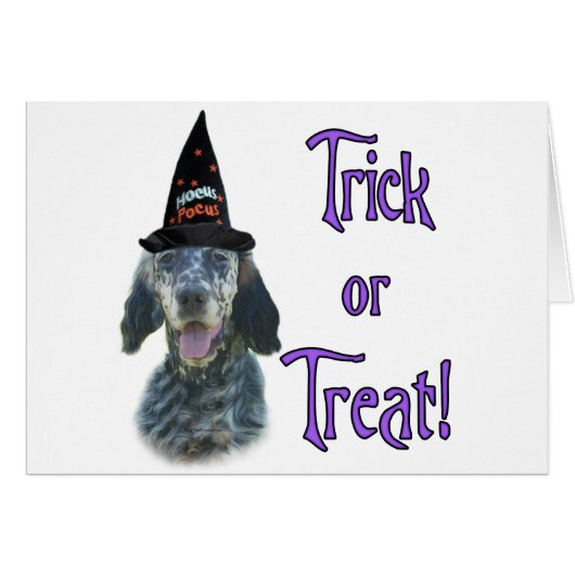 English Setter Trick Cards (Front Horizontal)