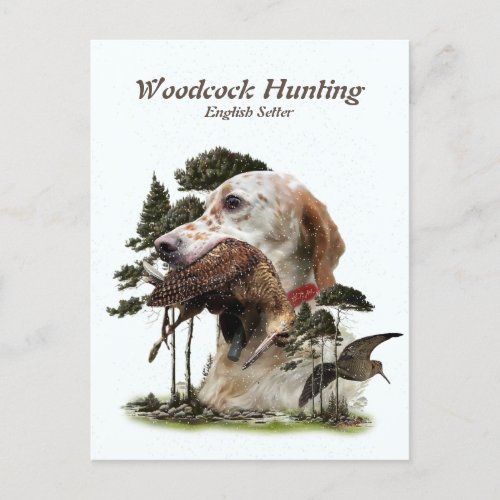 English Setter  woodcock hunting  Holiday Postcard
