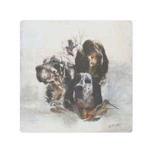 English Setter , woodcock hunting  Metal Print