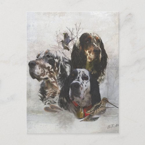 English Setter  woodcock hunting  Postcard